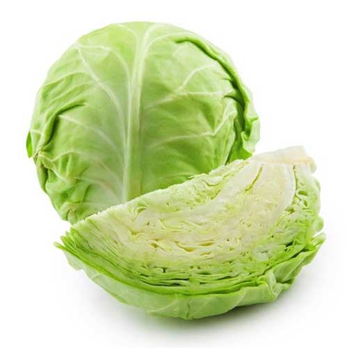 Vegetable Seeds : Cabbage