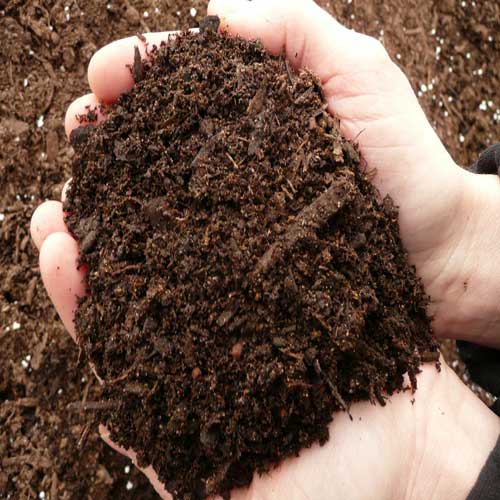 All For Gardens : Organic compost