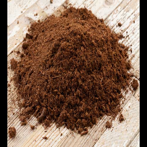All For Gardens : Peat Moss